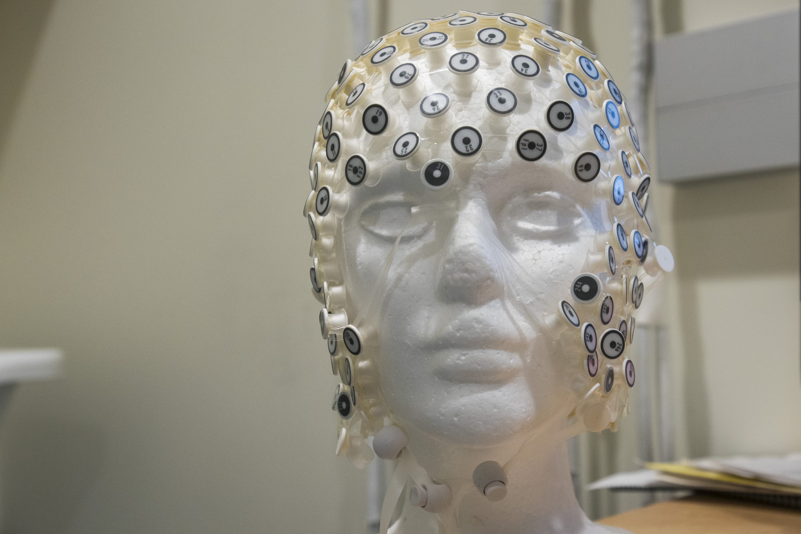 A high-density electroencephalography net on a styrofoam dummy head